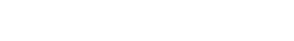 Softico – Technical Provider Services